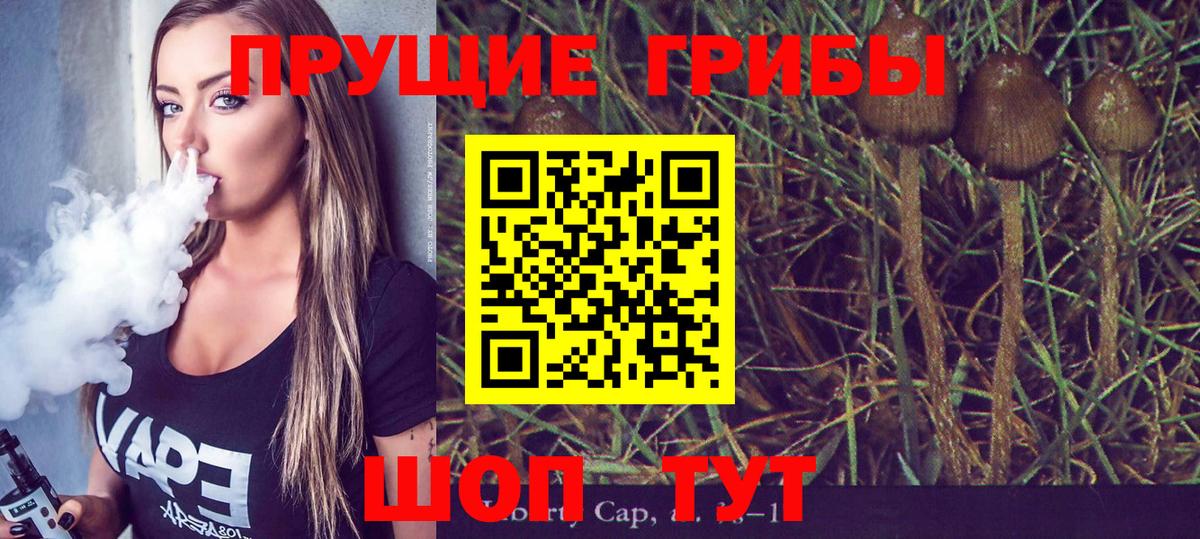 Галлюциногенные грибы MAGIC MUSHROOMS  Вход с VPN  Миллерово 